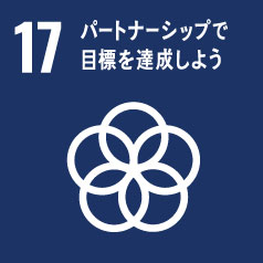 sdg_icon17